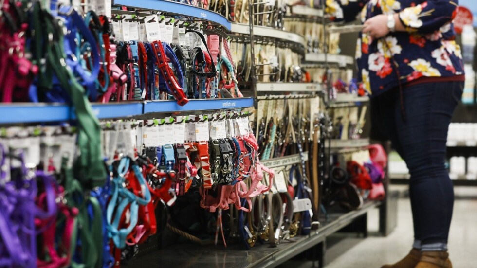 Pet Valu shares climb as revenue soars, CEO sees continued growth