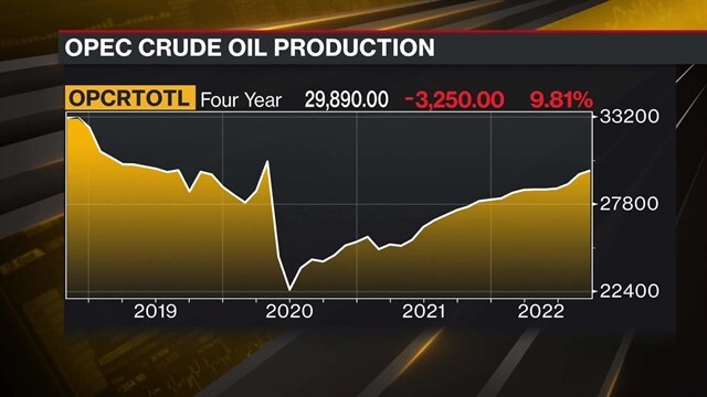 OPEC Trims Oil-Demand Outlook, Making Case For Its Supply Cut - Video - BNN