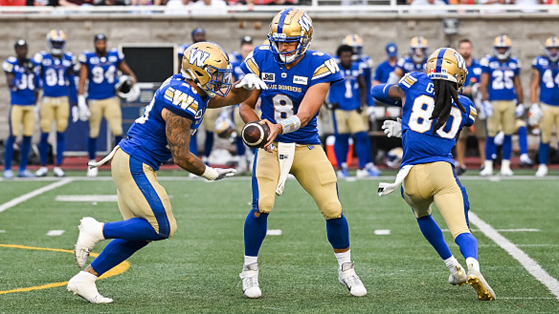 Re-Signing Zach Collaros Early Is Key To Bombers Keeping The Group ...