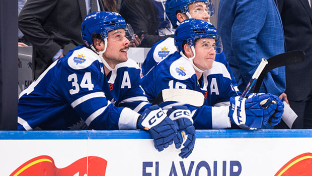 Amid stressful times, Leafs embrace power of the dog 