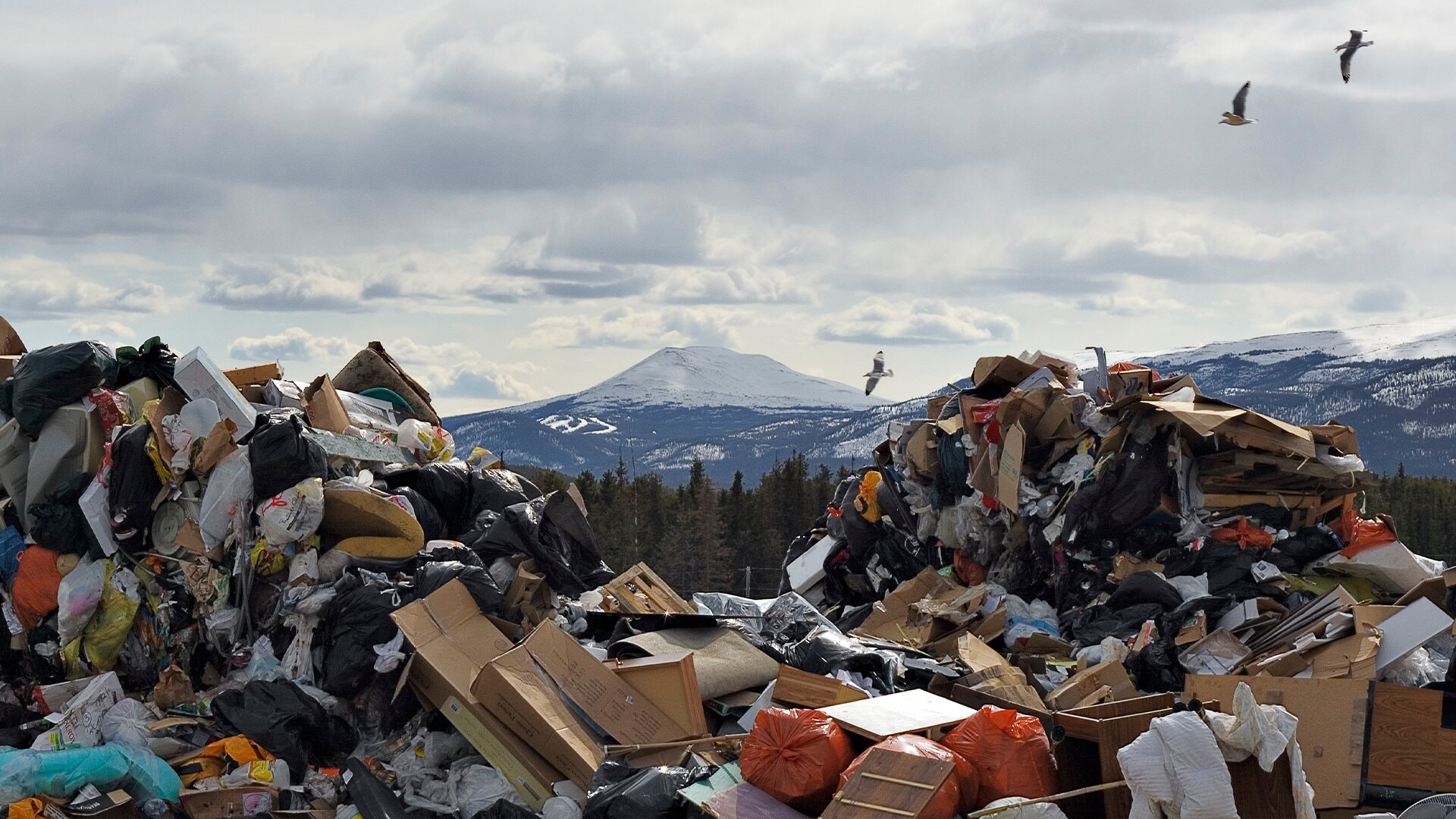 The Social S10E60 Prairie Green landfill operations paused amid