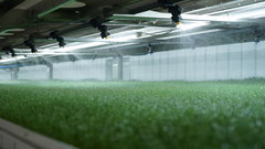 CubicFarms is elevating its farming practices with HydroGreen