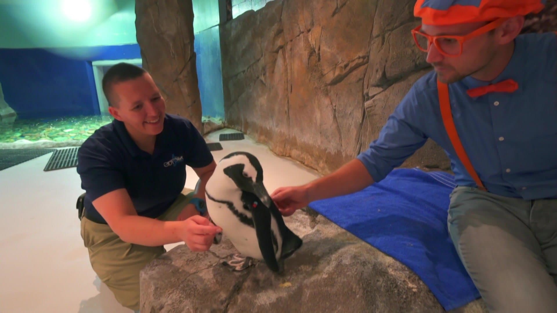 Blippi Visits | S1:E19 | Blippi Visits An Aquarium (Ody Aquarium)