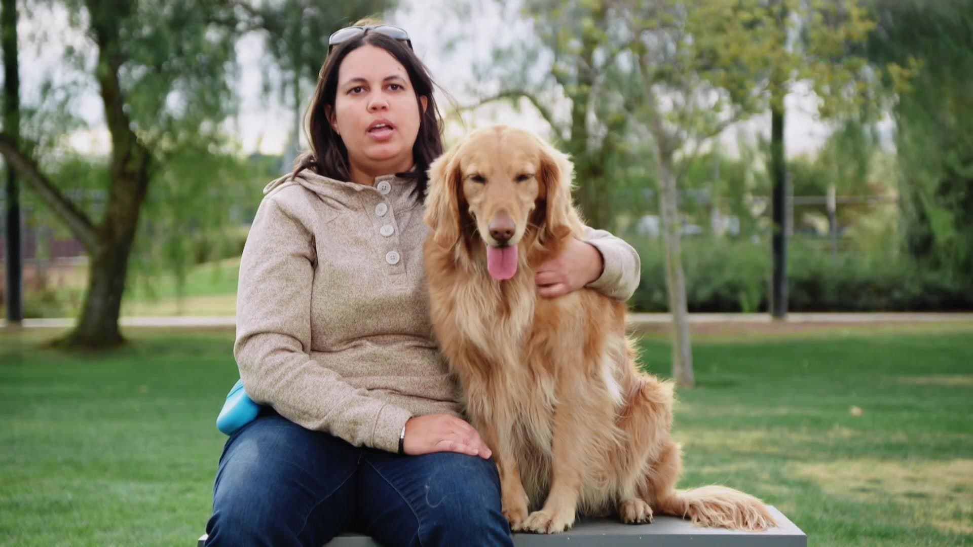 Puppy Bowl Puppy Bowl XVIII Presents The Dog Games CTV