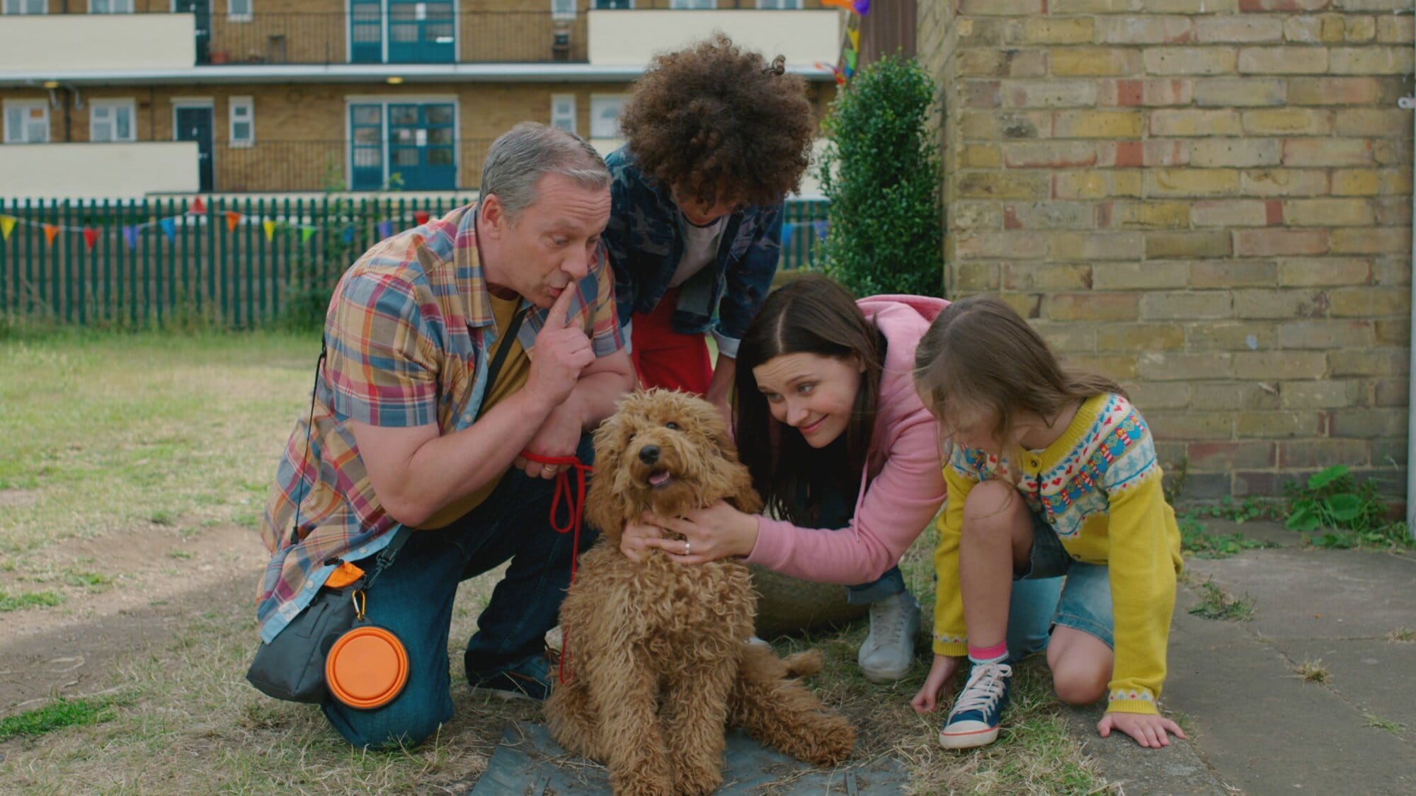 Waffle the Wonder Dog