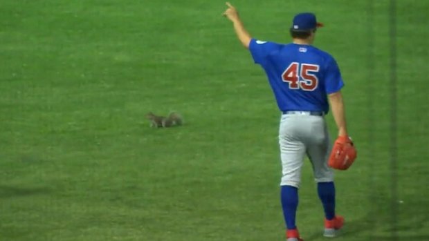 Must See: Squirrel interrupts Buffalo Bisons game