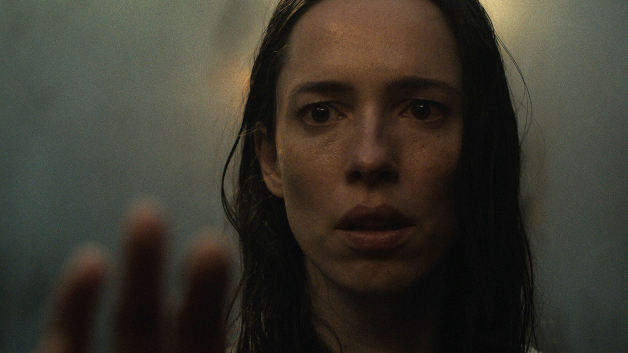 The Night House Trailer