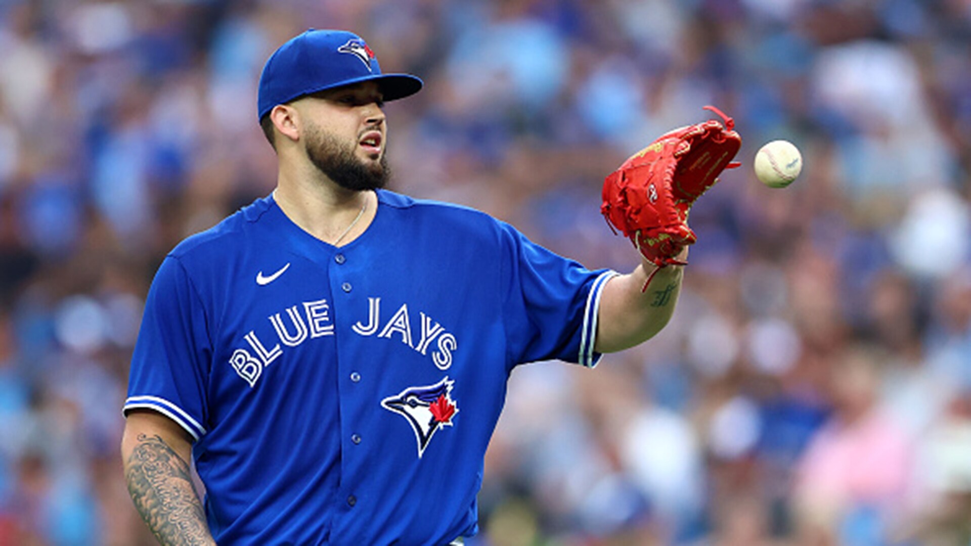 MLB - Major League Baseball Teams 