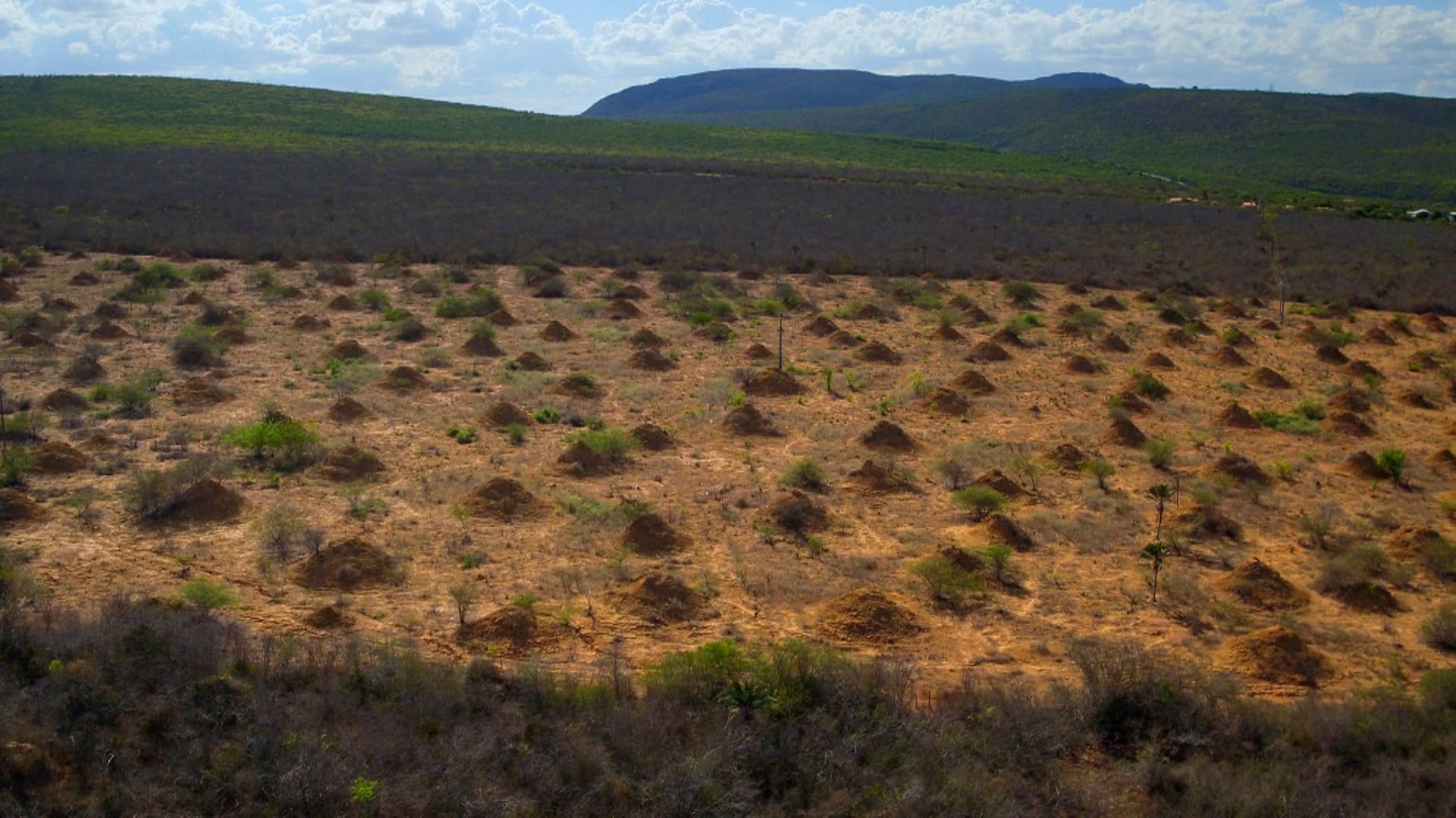 What On Earth S6E11 Episode 11