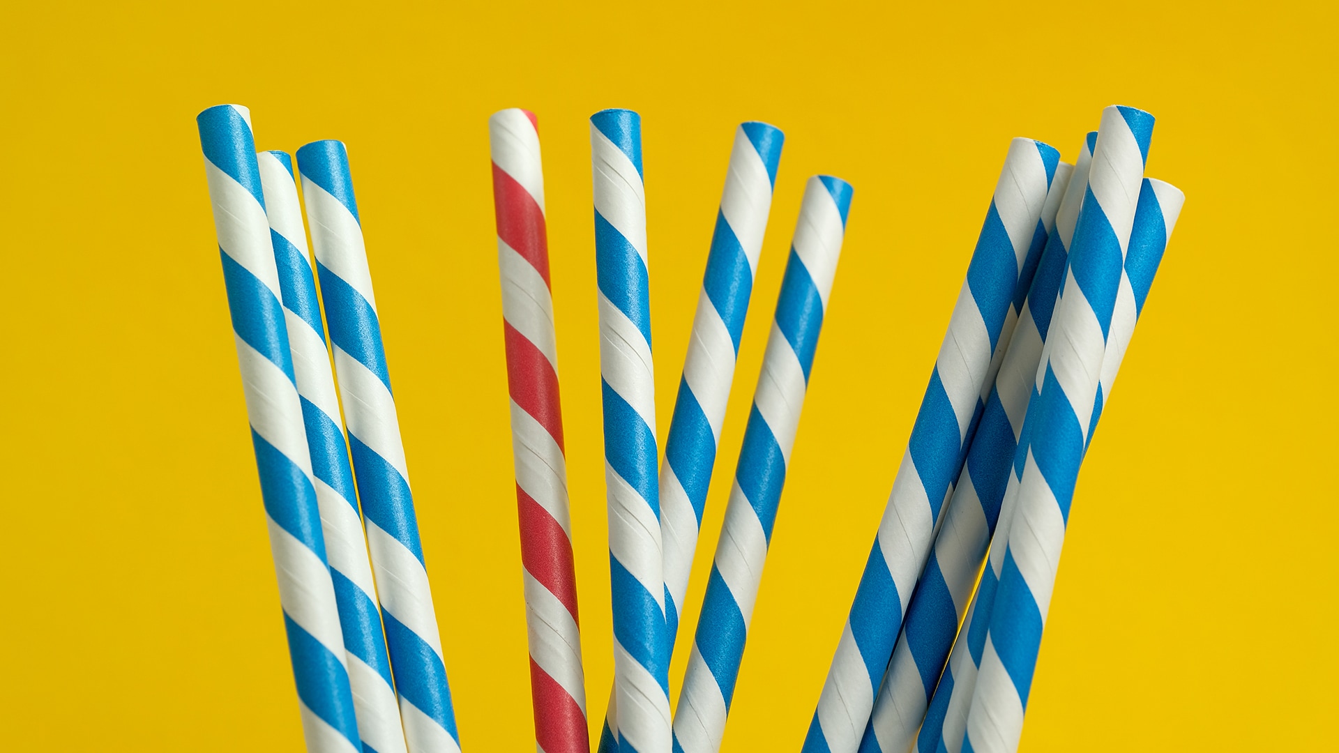 The Social S11E28 Does a straw have one hole or two? CTV