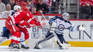 Red Wings Will Wear Ads On Their Heads This Season