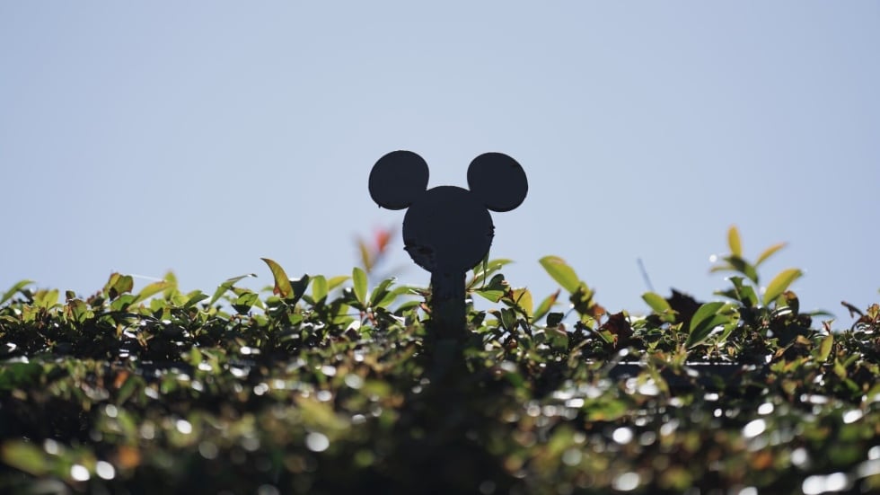 Disney World Visits Decline as Expenses Overwhelm Visitors - Bloomberg