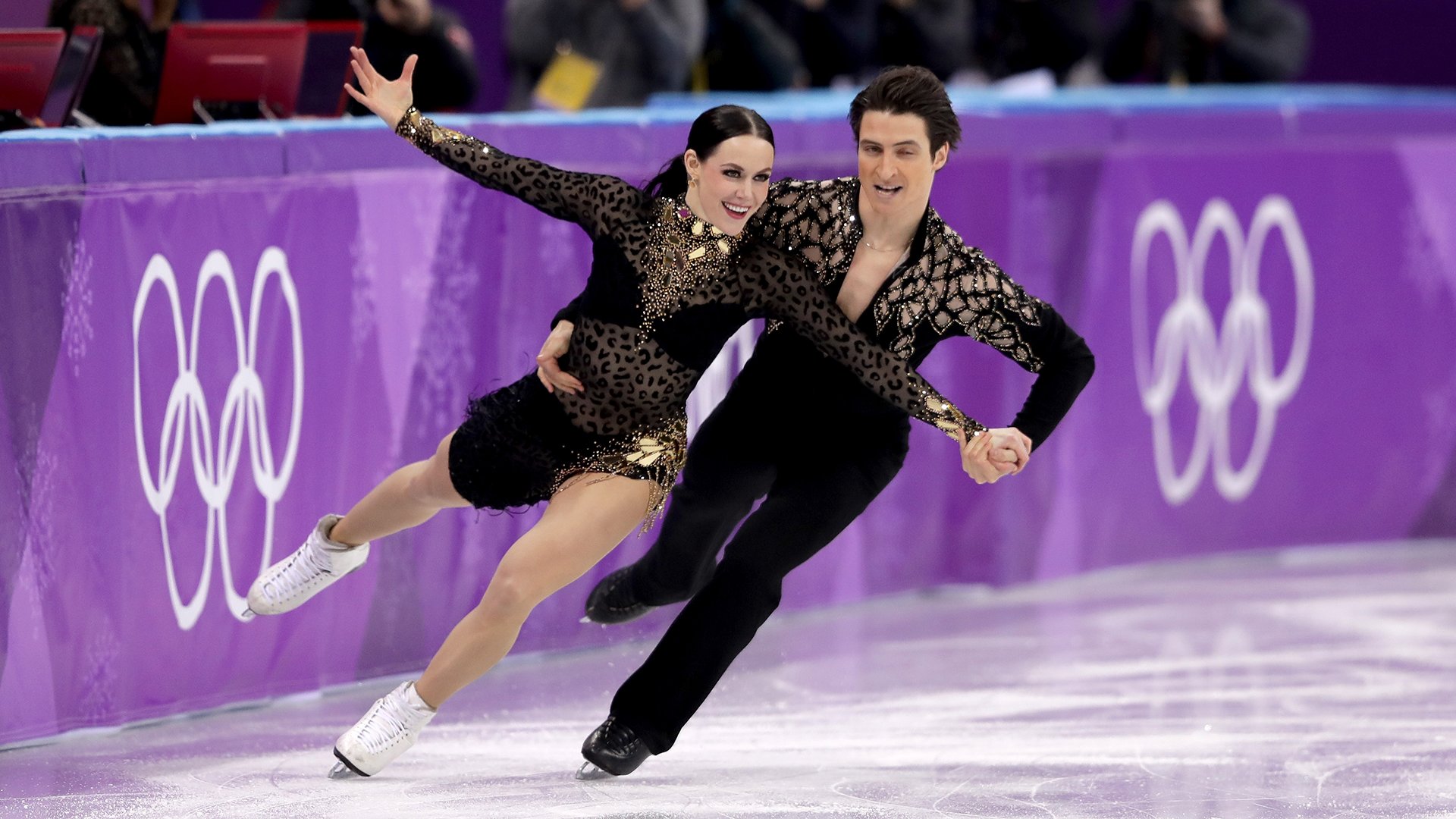 Мейнстрим фигурное. Тесса Вертью и Скотт Моир на Олимпиаде в Корее 2018. Тесса Виртью и Скотт Мойр Гран при Канада.