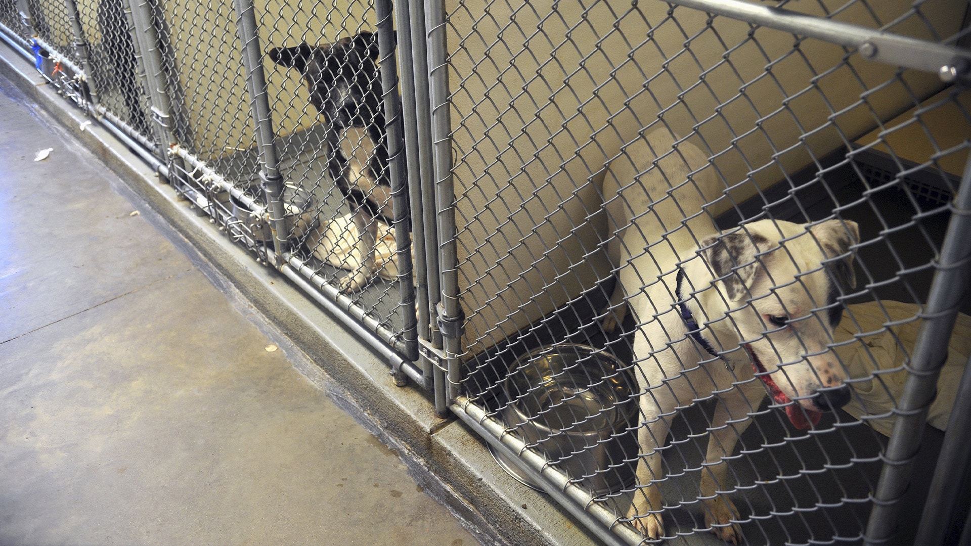 noovo-info-qu-bec-s3-e152-le-fil-qu-bec-11-04-2023-l-actualit