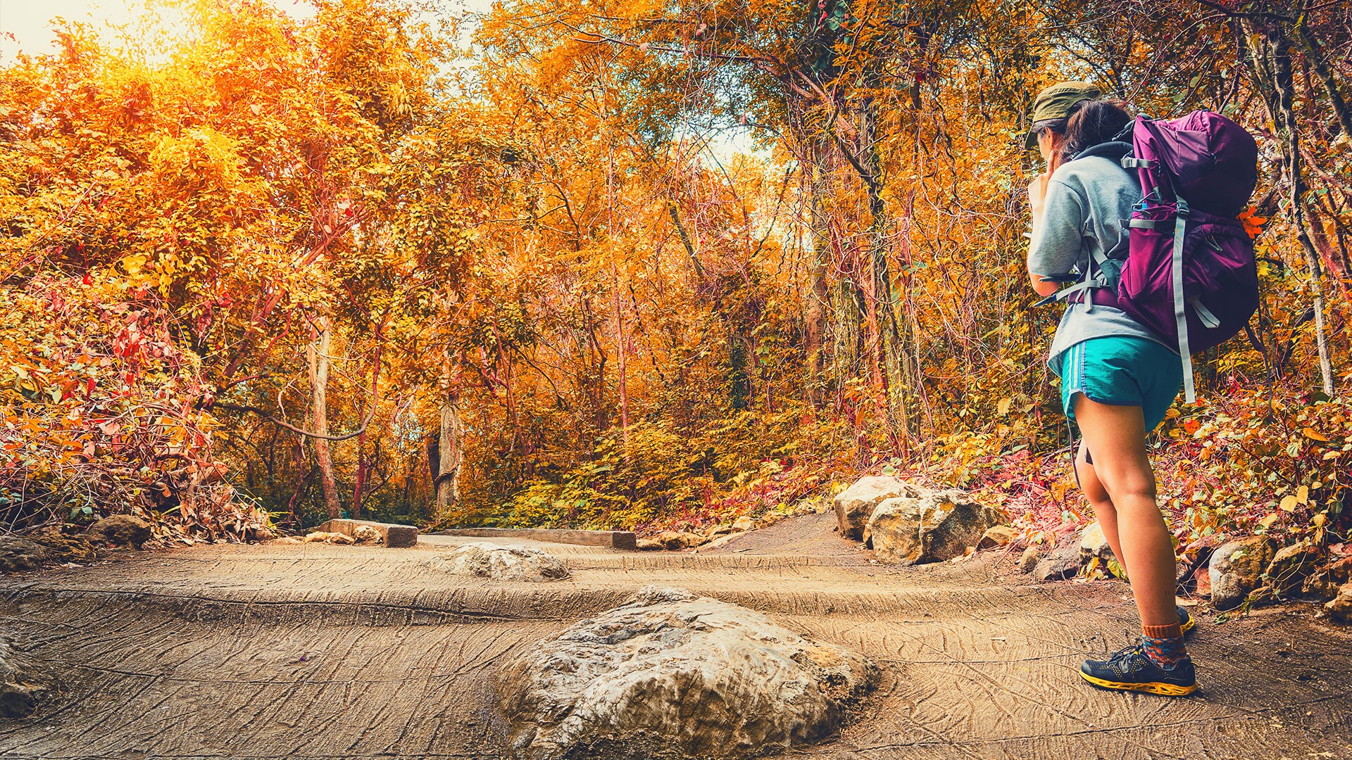 CTV Your Morning S7E192 How to prepare for a hike CTV