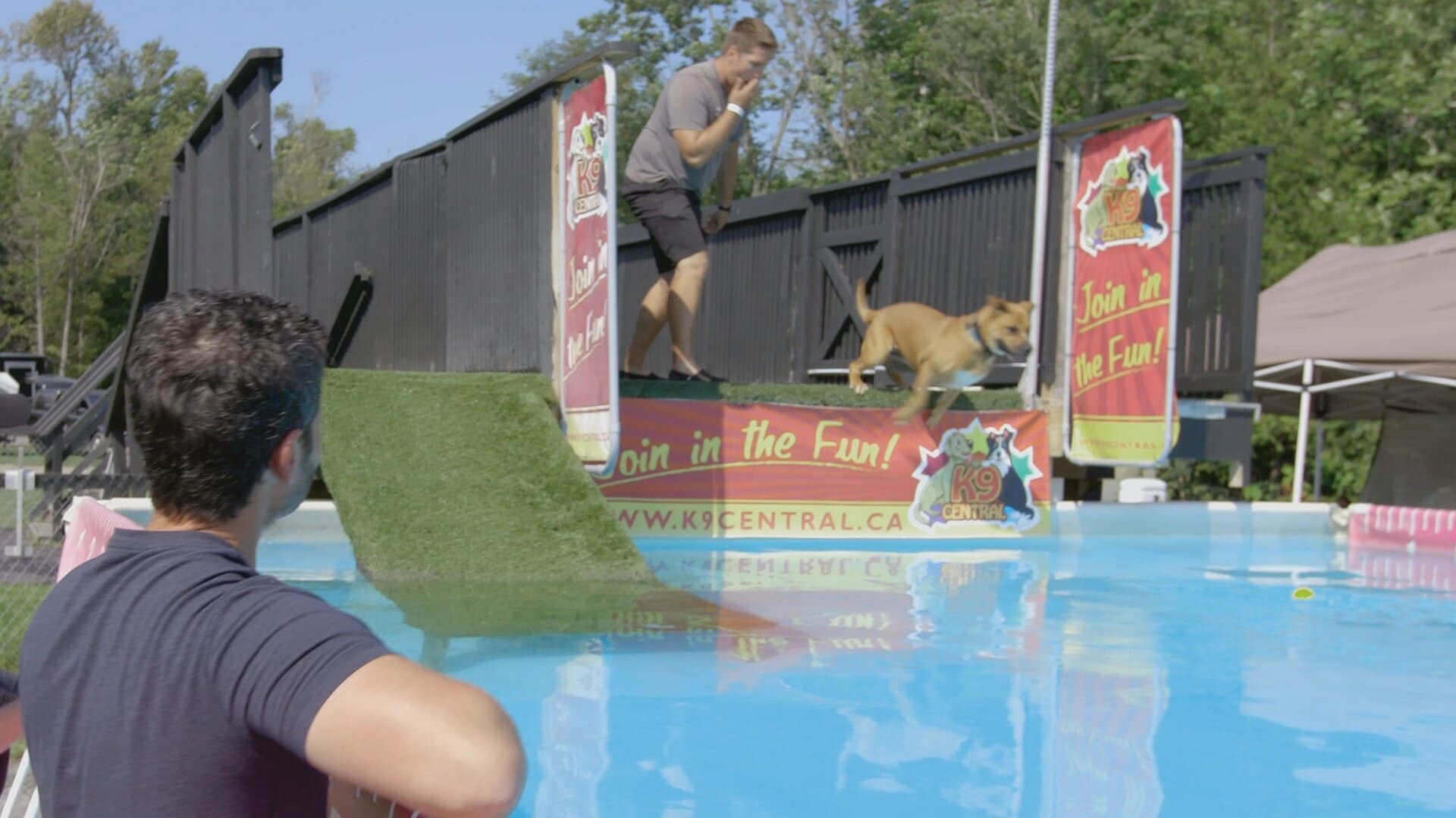 Dog Tales Rescue Clips Dogs Dock Diving Is A MustSee Event