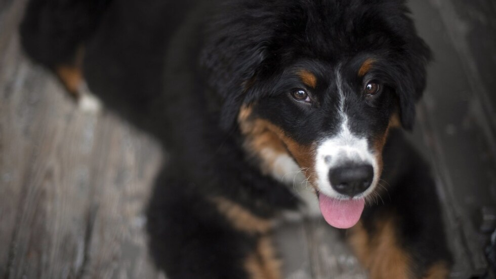 At least 50 of new store opportunities over the next decade are in