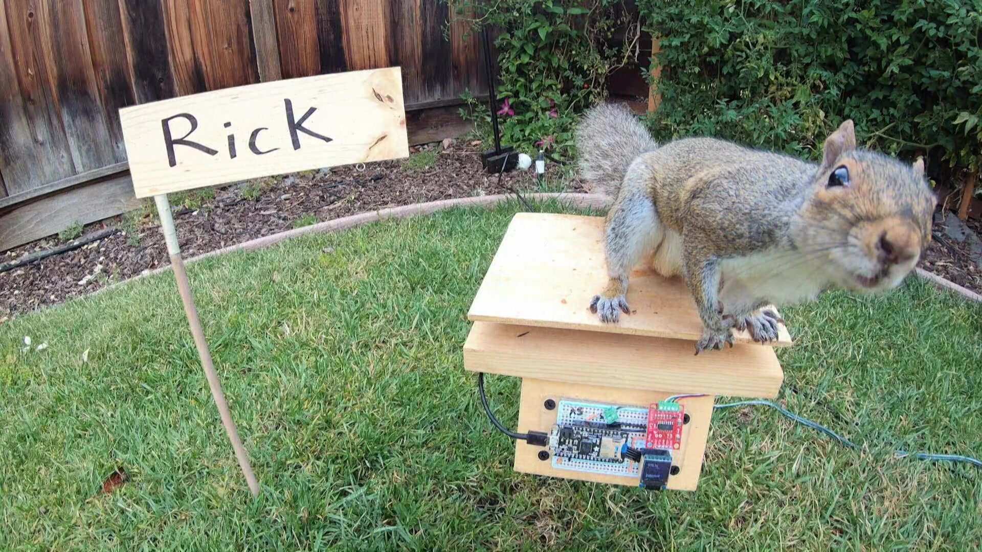 This Is Mark Rober S1E3 Attack Of The Squirrels