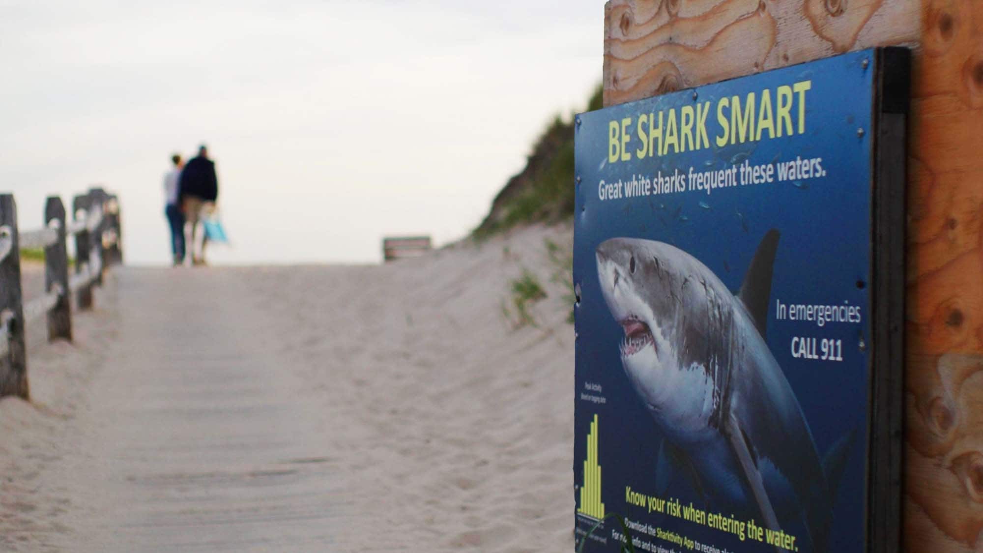 After The Bite Trailer After the Bite Crave