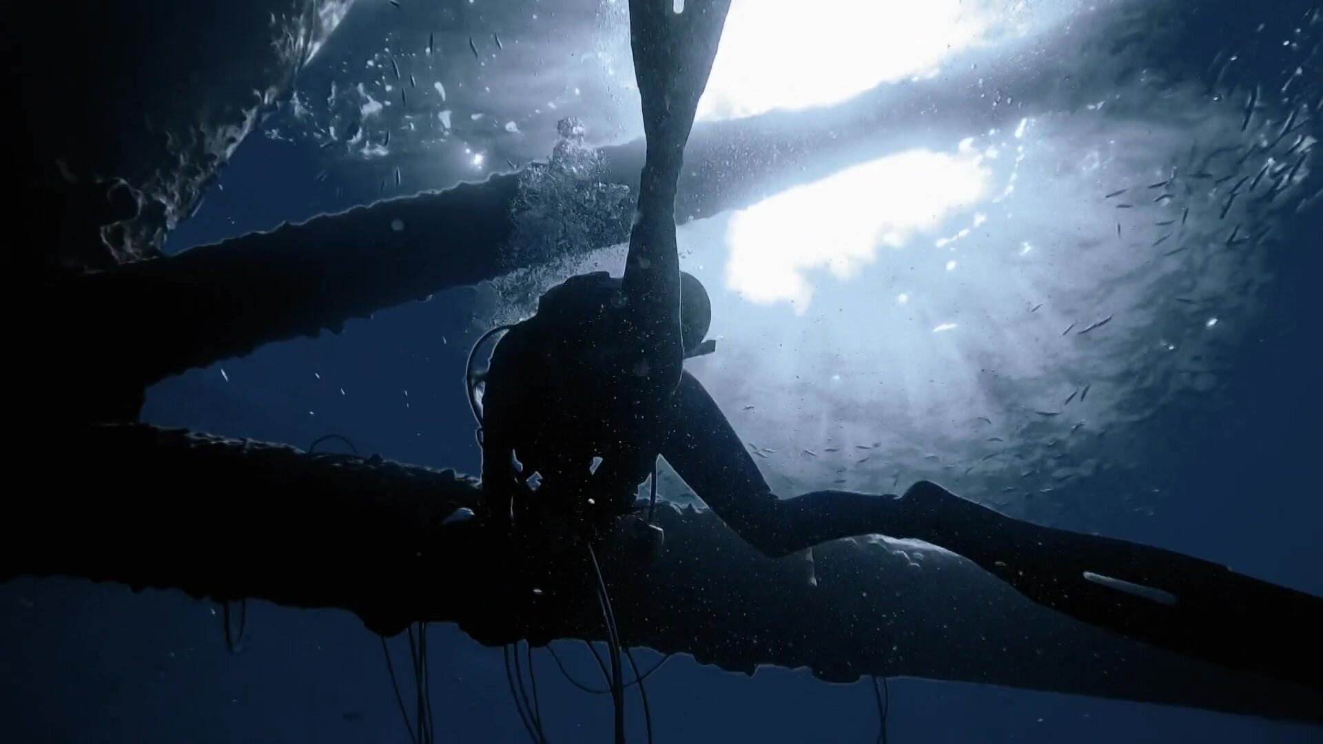 Shark Week S35E18 Haunting At Shark Tower CTV