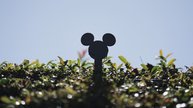 Disney Plus announces crackdown on password sharing in Canada