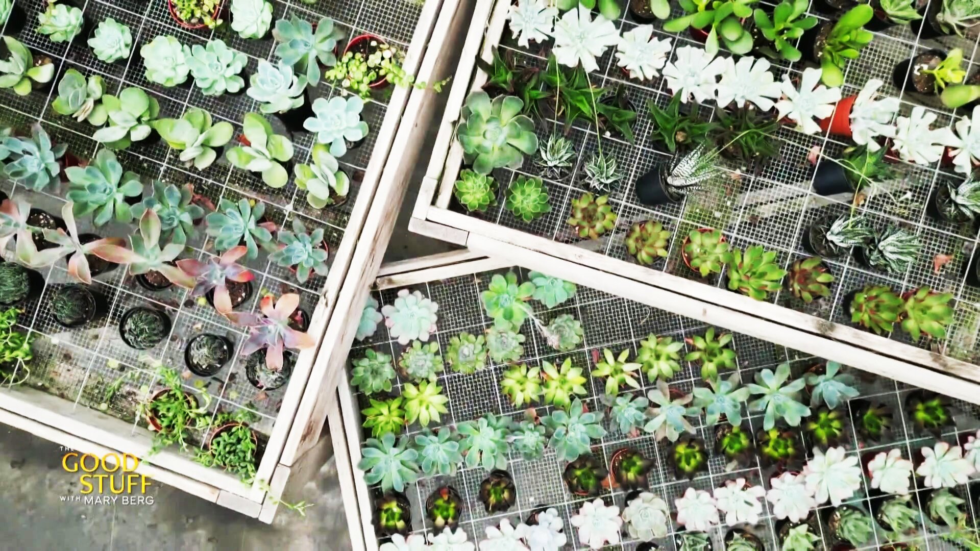 The Good Stuff with Mary Berg S1E5 Step inside The Watering Can in