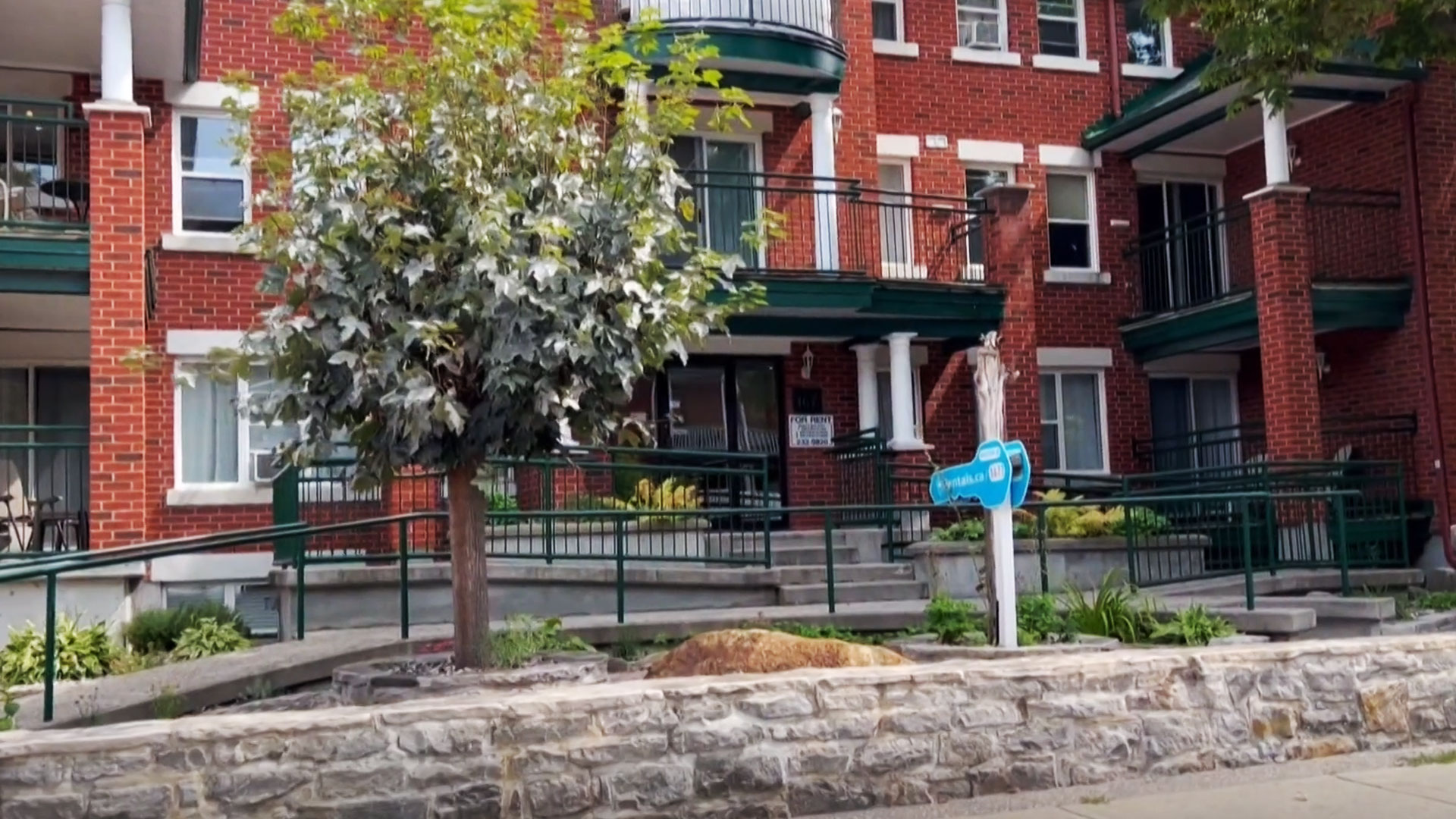 CTV Your Morning S8E22 Housing platform matches seniors and students CTV