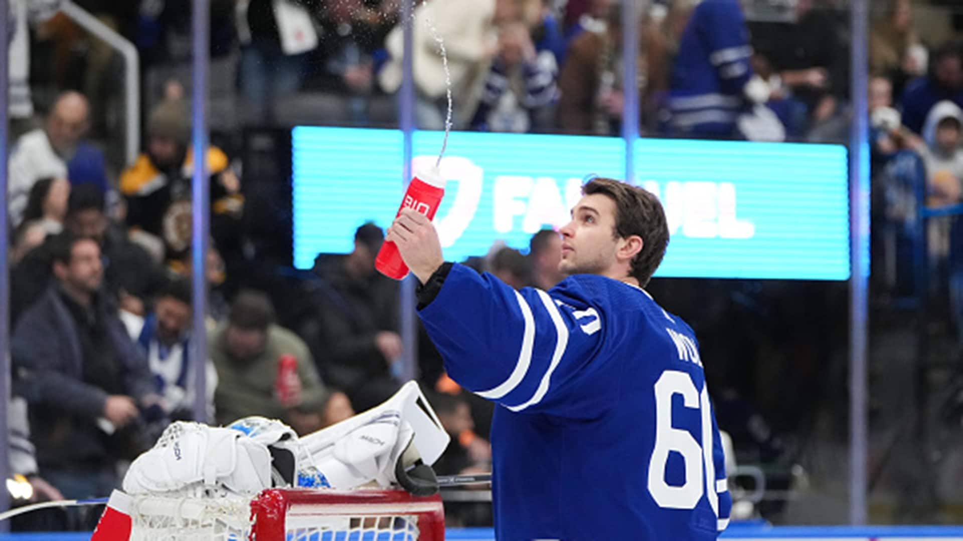 Maple Leafs recall goaltender Woll after successful conditioning stint with  Marlies