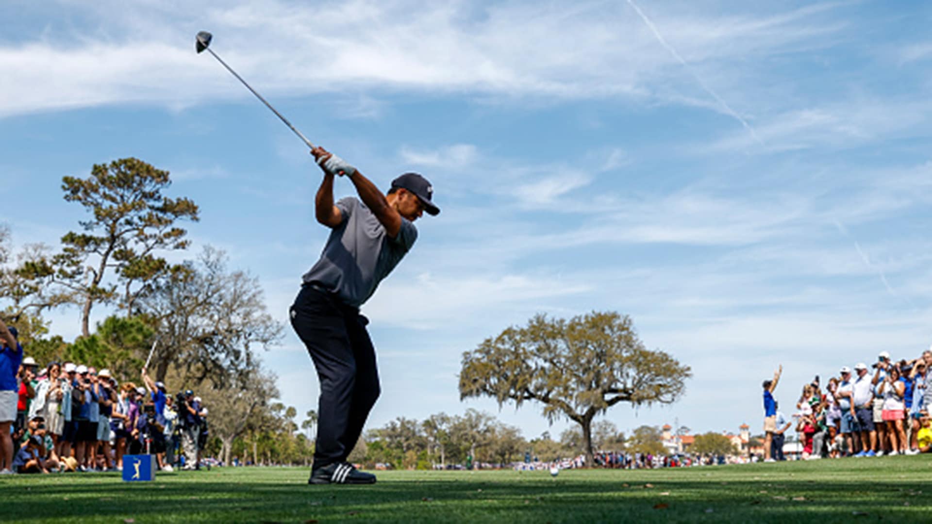 Xander Schauffele’s Road to Augusta Calm Cool and Chasing Greatness