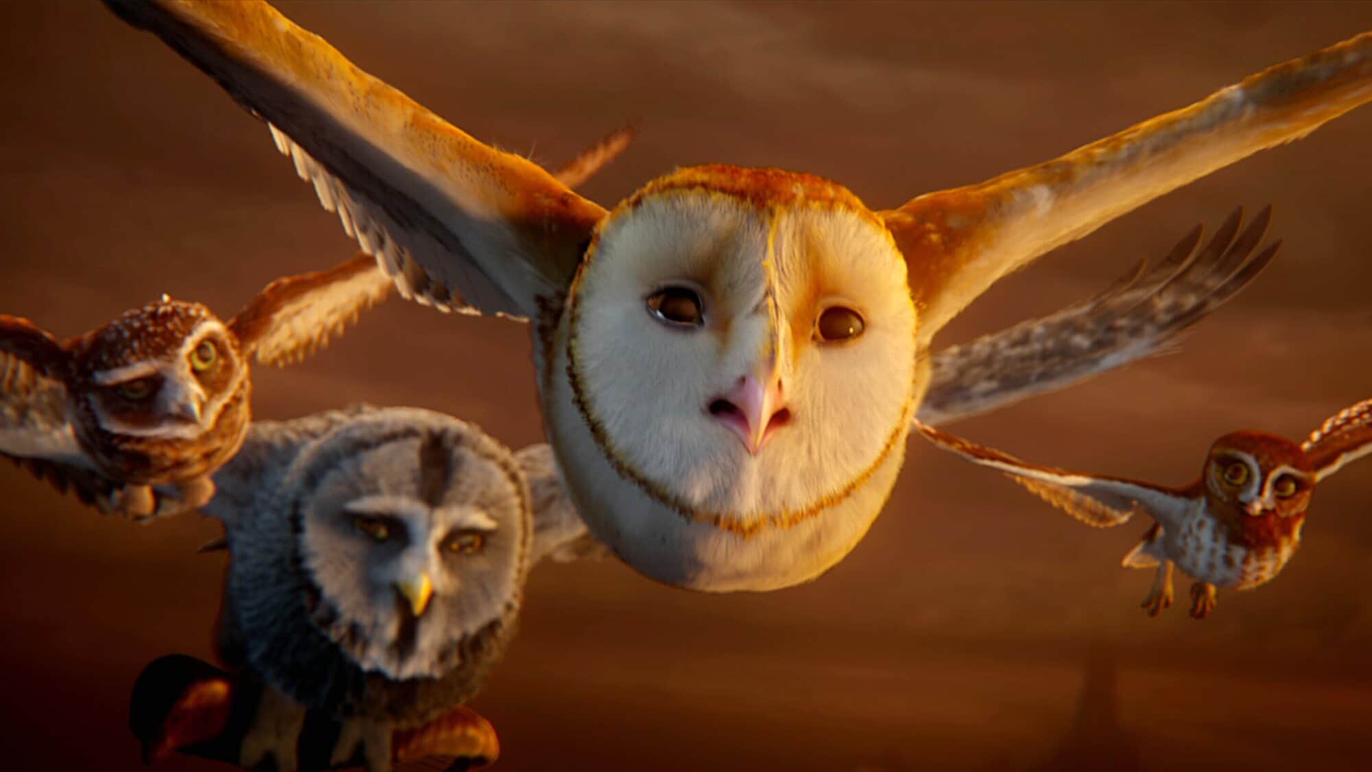 Legend of the Guardians: The Owls of Ga'Hoole | Stream now on Crave