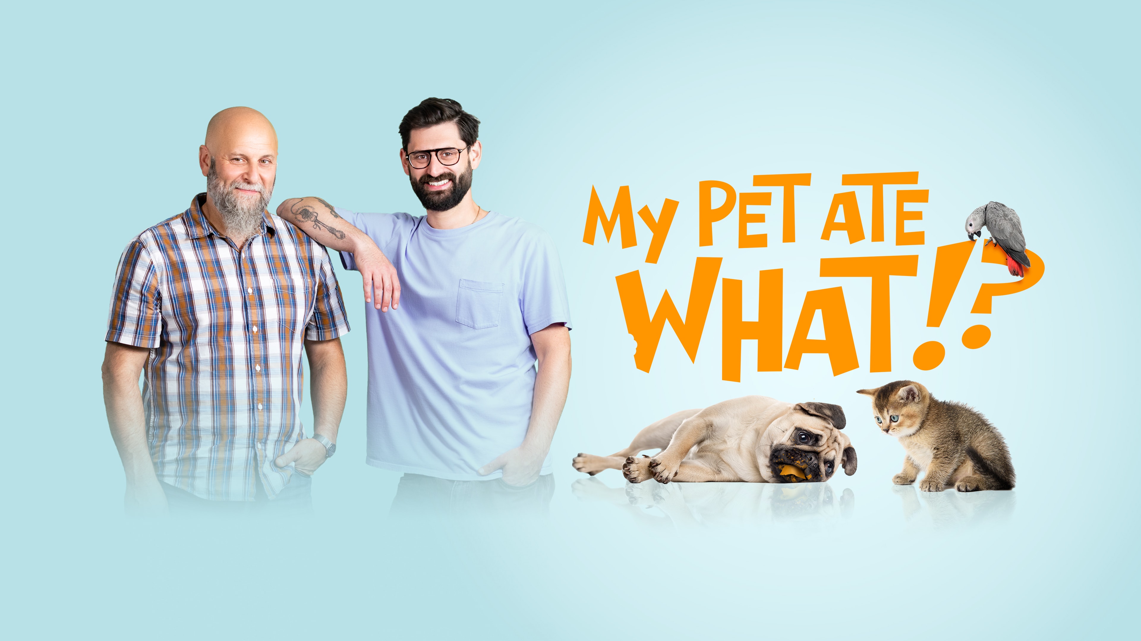 My Pet Ate What? thumbnail