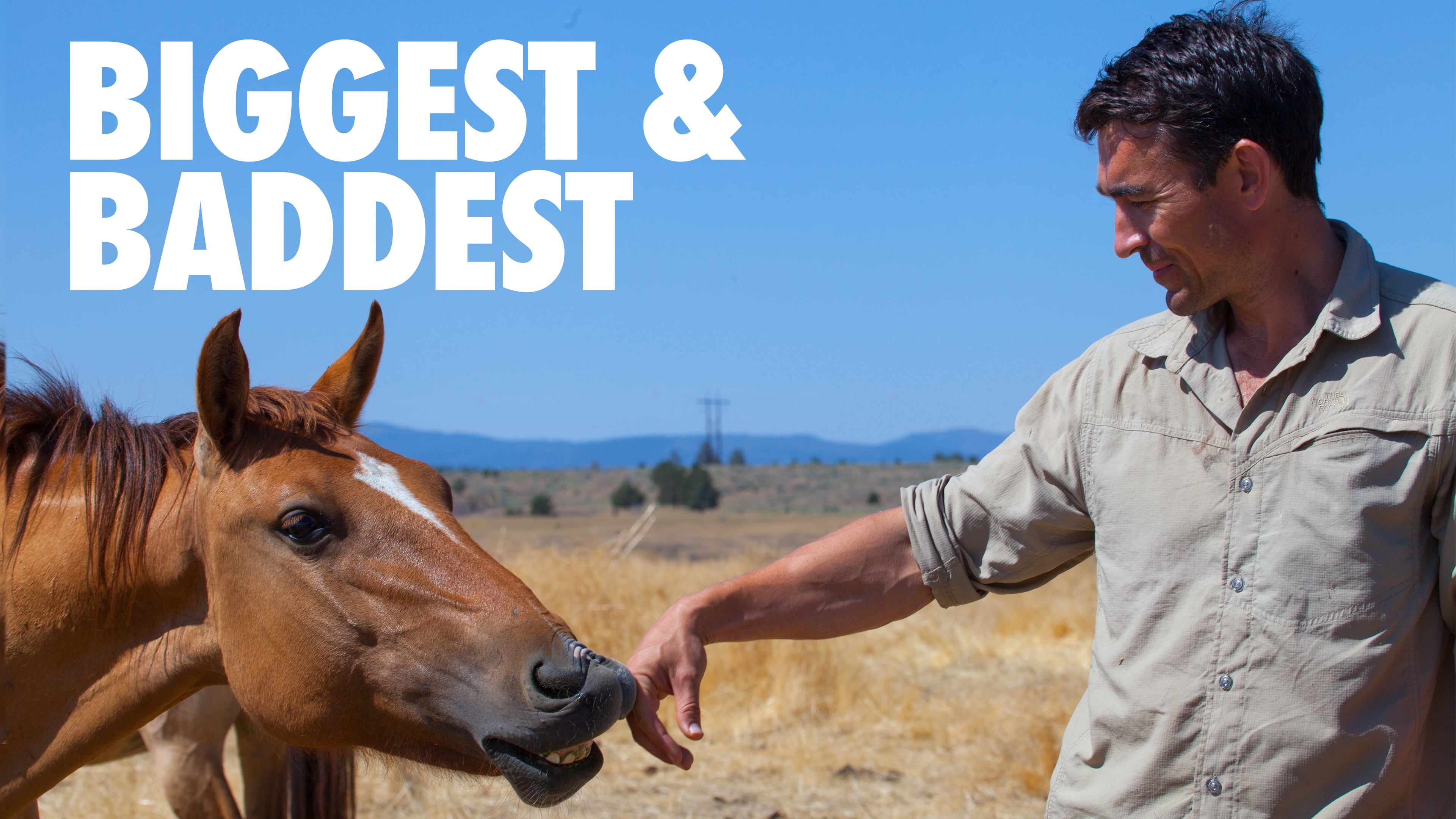 Biggest & Baddest thumbnail