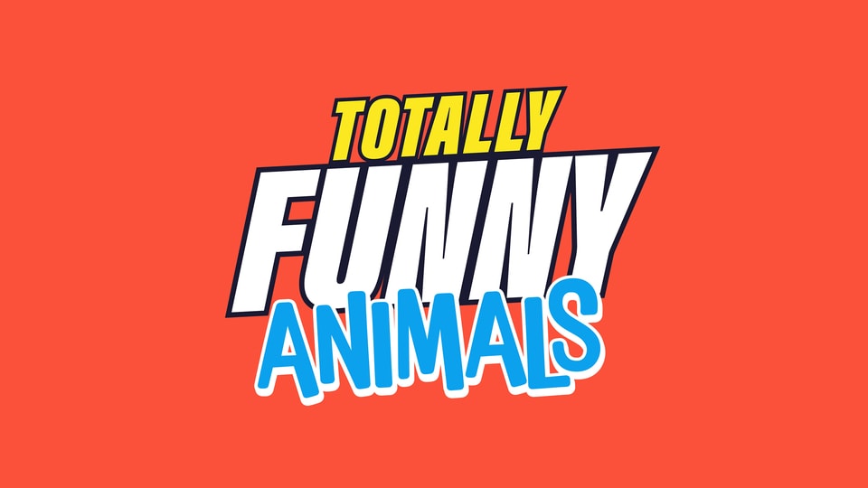 Totally Funny Animals thumbnail