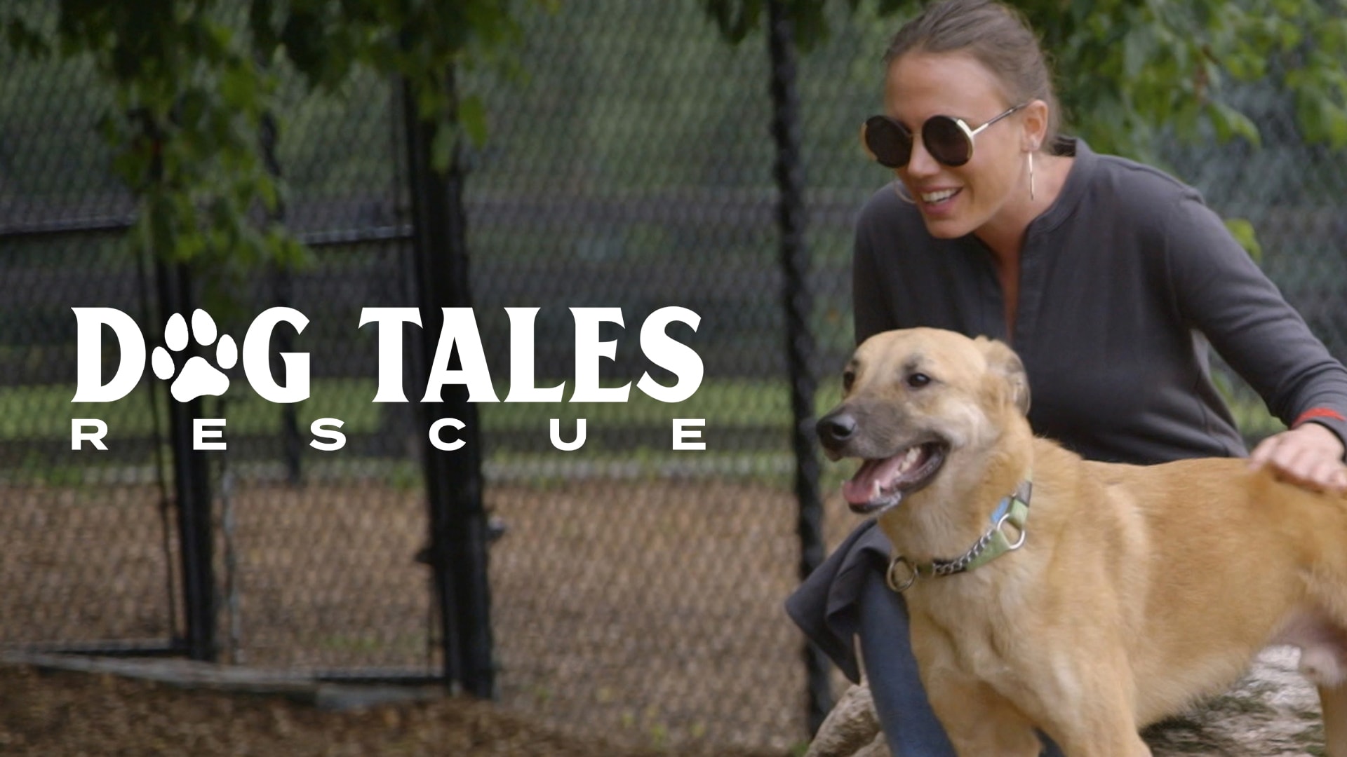 Dog Tales Rescue thumbnail