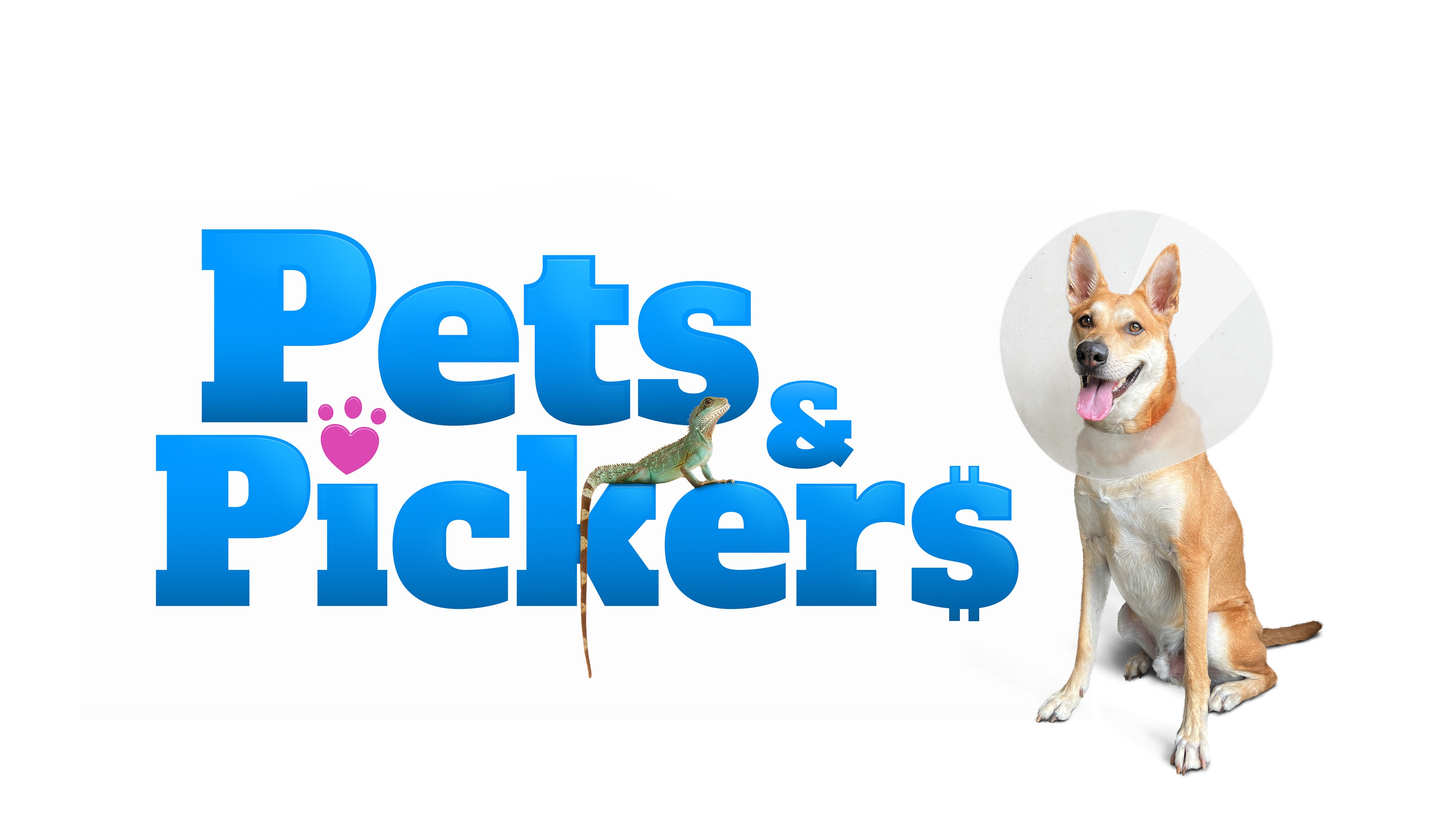 Pets & Pickers thumbnail