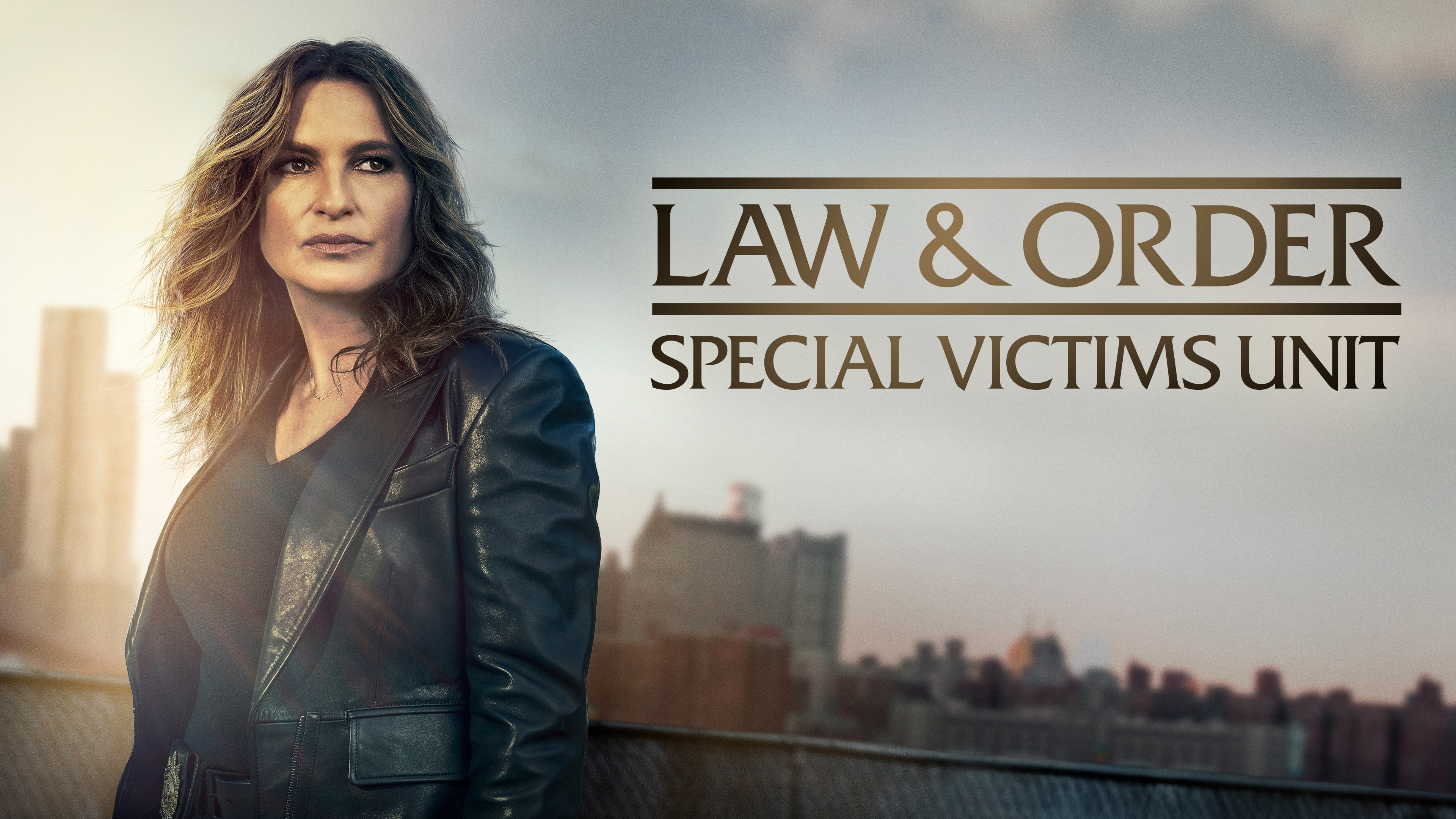 Law & Order: Special Victims Unit thumbnail
